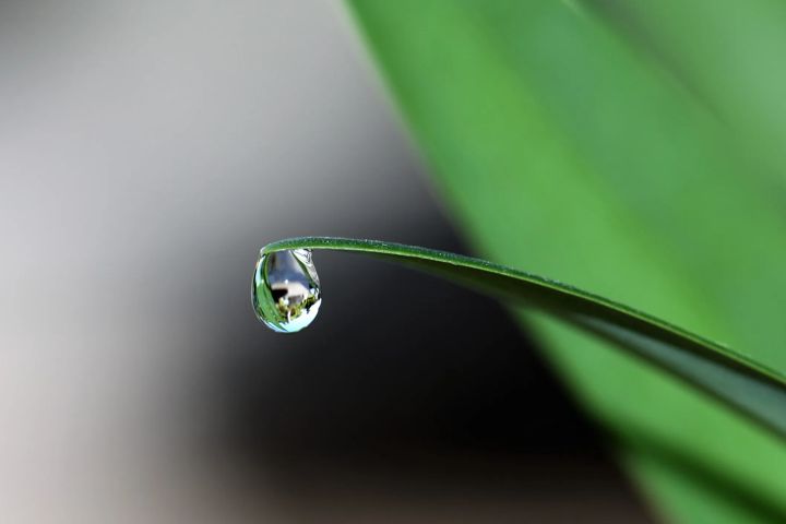 La calidad de agua que usamos en nuestros campos